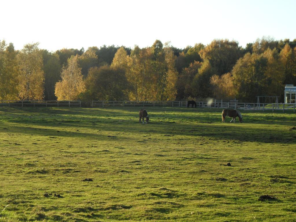 Ferienwohnungen Gartentraum&Sonnenstrahl Karlshagen Exterior foto