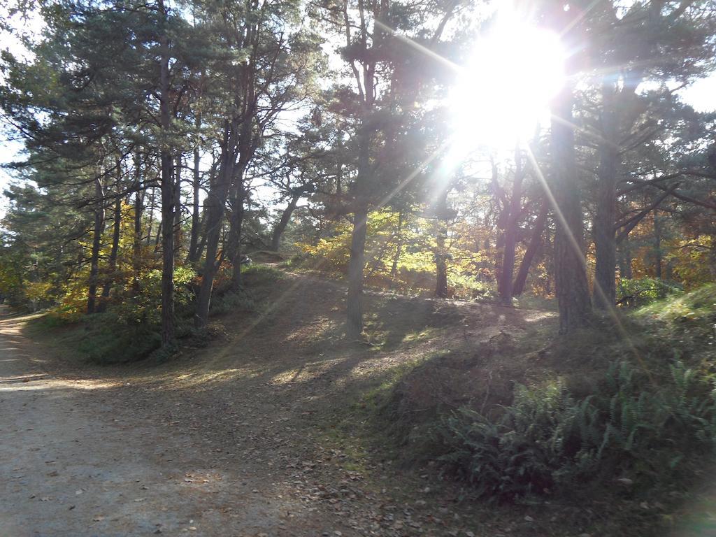 Ferienwohnungen Gartentraum&Sonnenstrahl Karlshagen Exterior foto